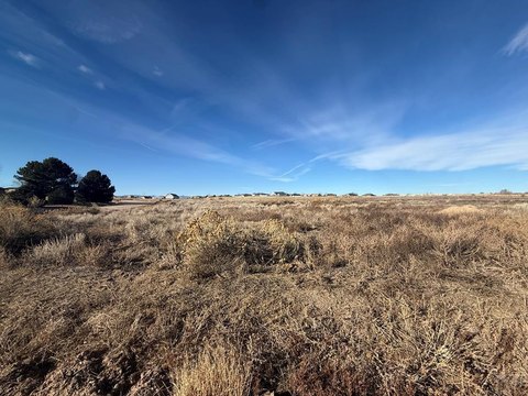 LAND - Pueblo West, CO