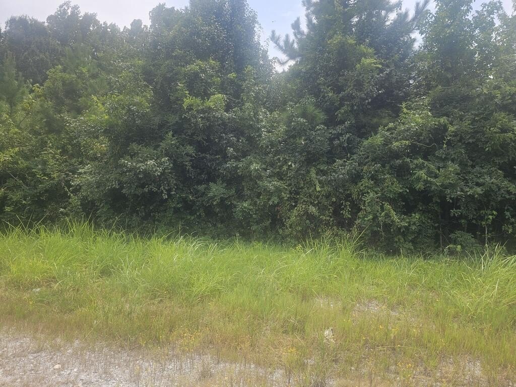 Picture 4