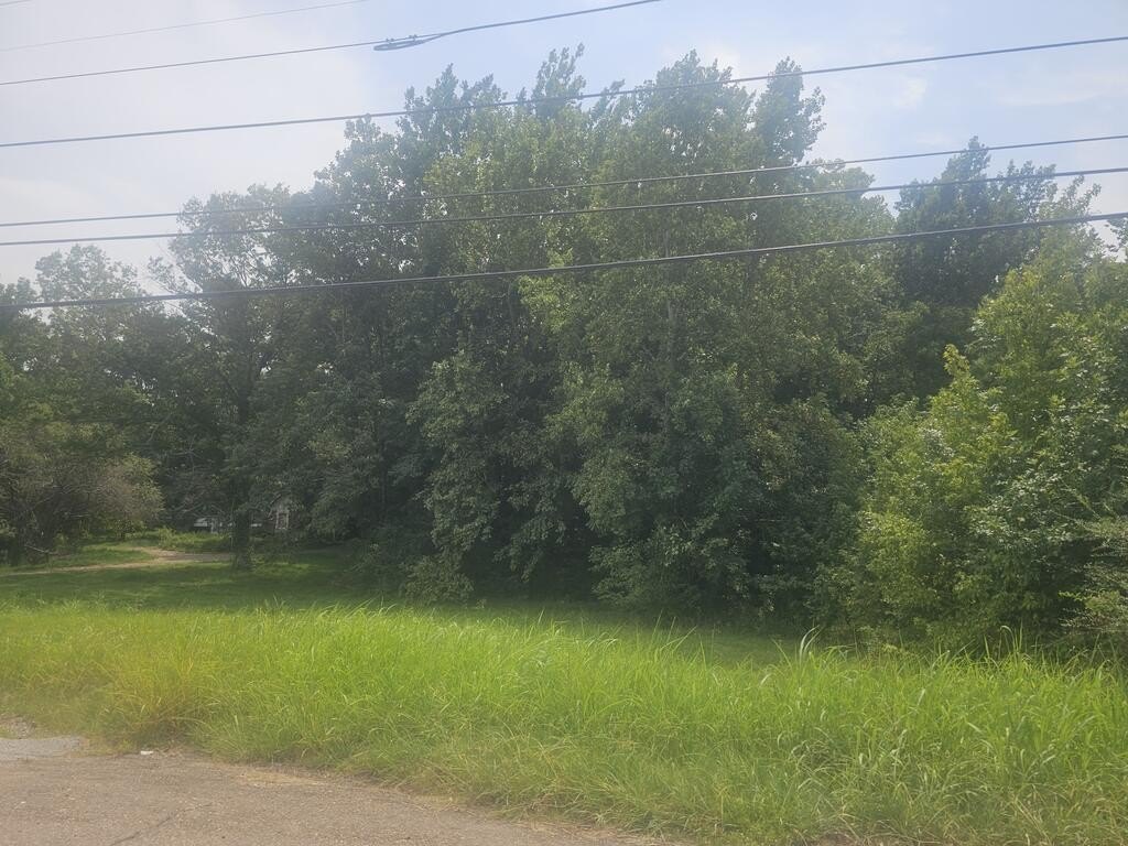 Picture 13
