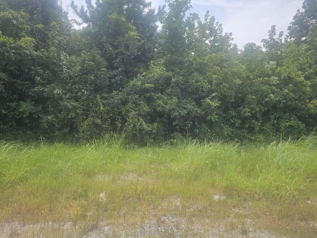 Picture 3