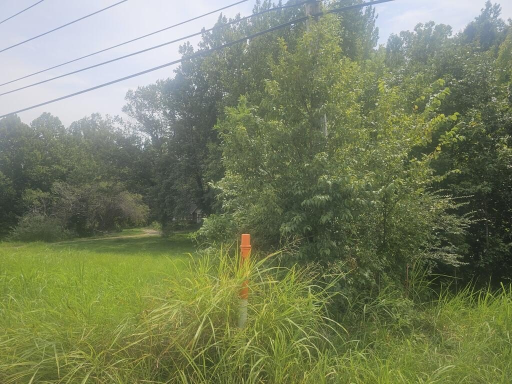 Picture 12