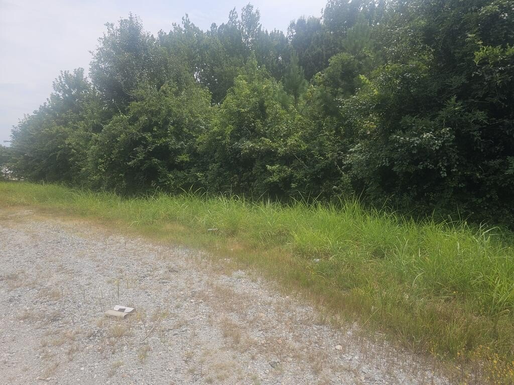 Picture 6