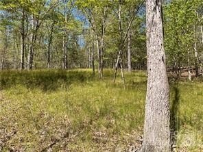 Residential Land in Rutherfordton, NC