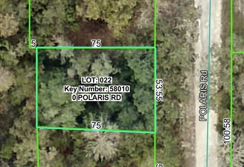 Land, DADE CITY, FL