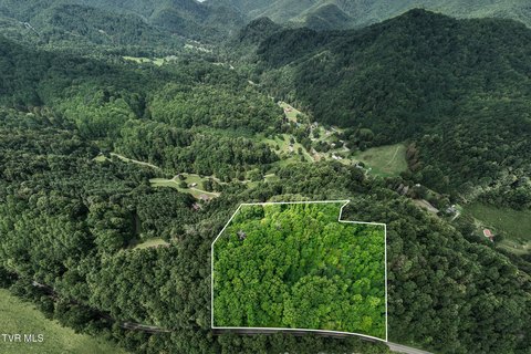 Land, Roan Mountain, TN