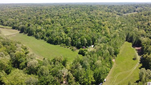 86 Acres Near Eddy Creek