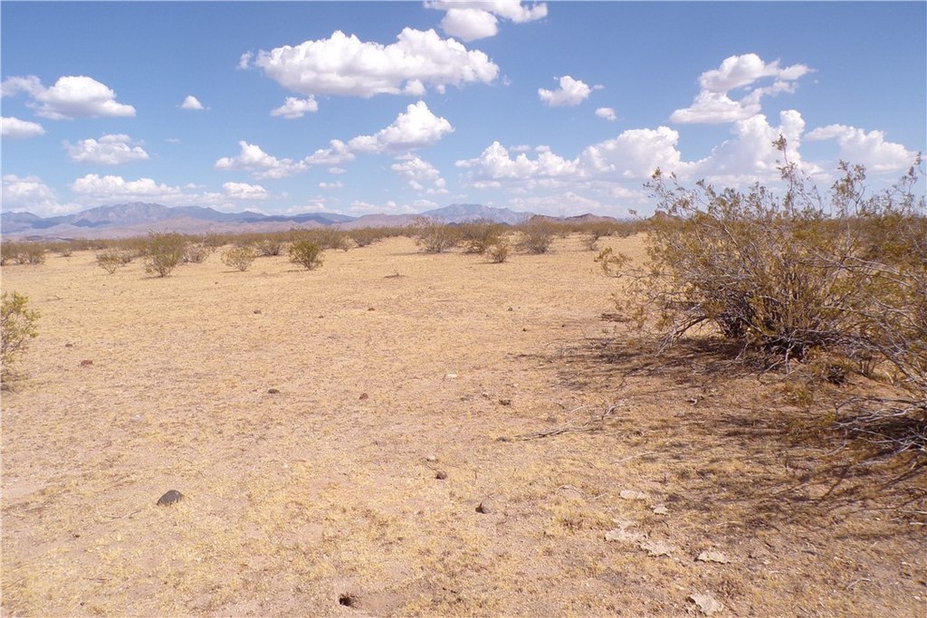 Picture 34