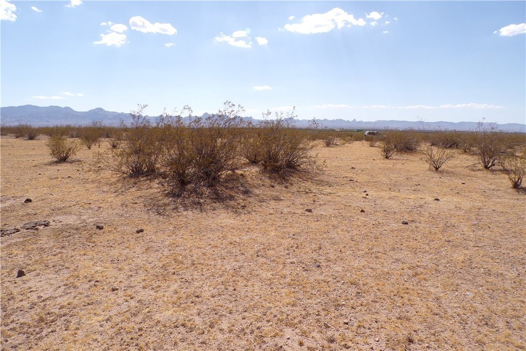 Picture 46
