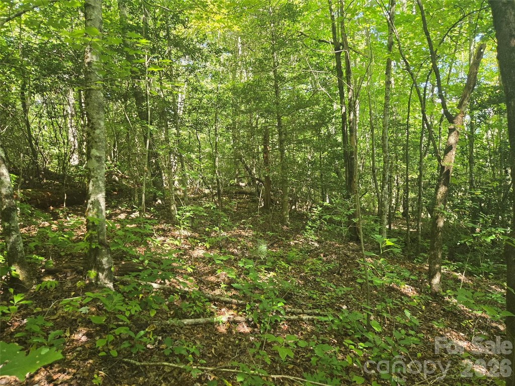 Picture 13
