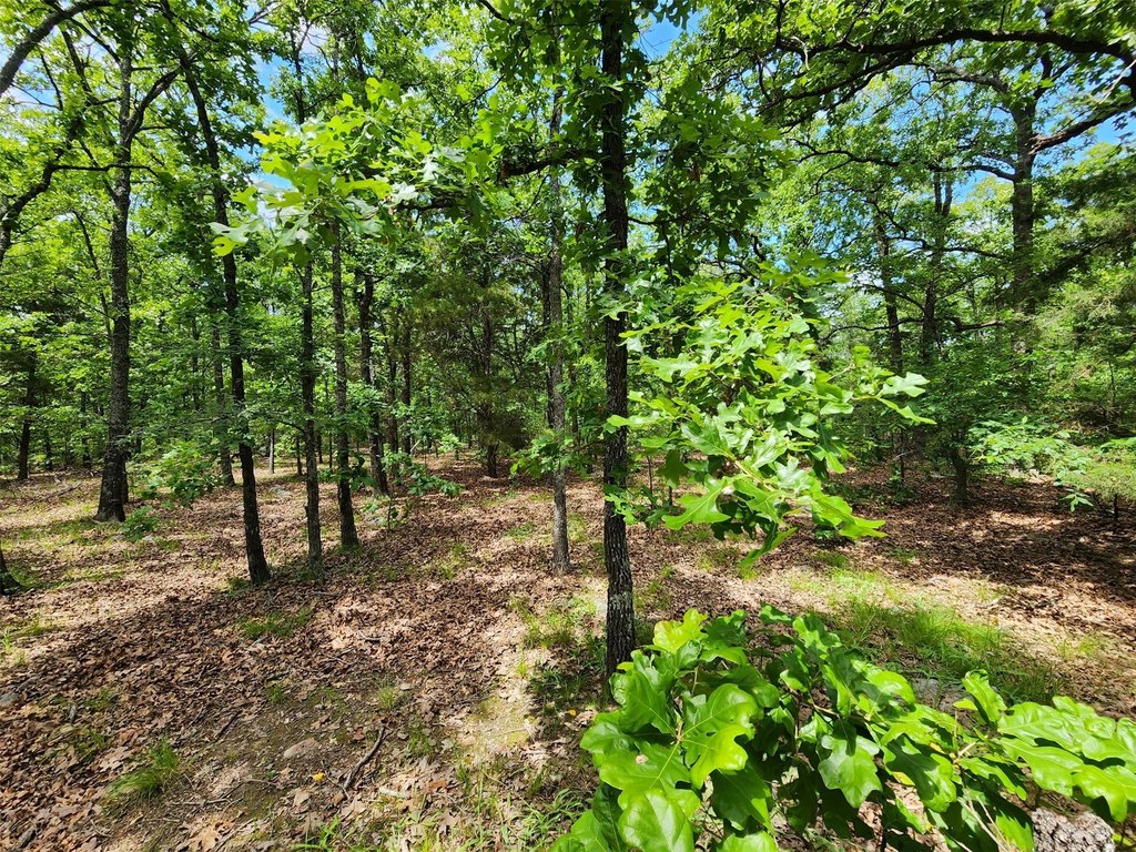 Picture 18