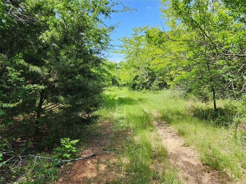 Industrial Land with Interstate Frontage