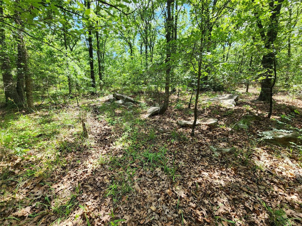 Picture 23