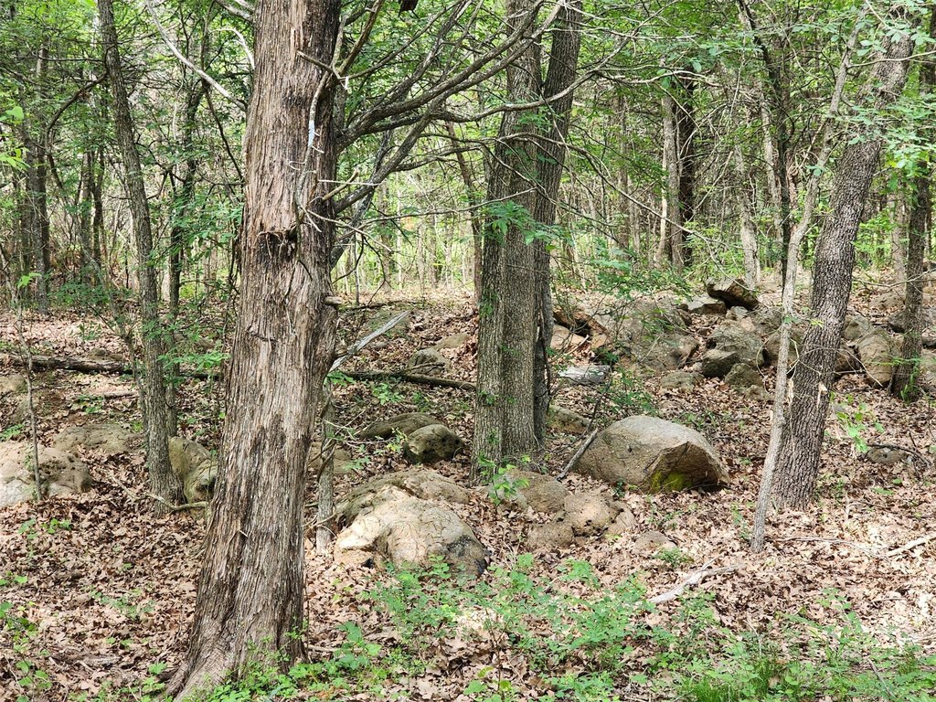 Picture 29