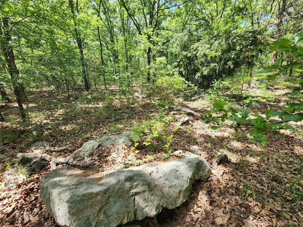 Picture 25