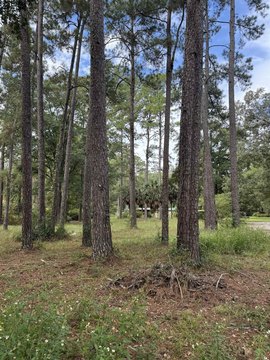 Land, Tallahassee, FL