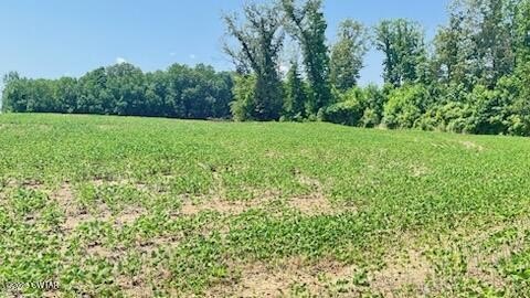 Medina, TN Land For Sale