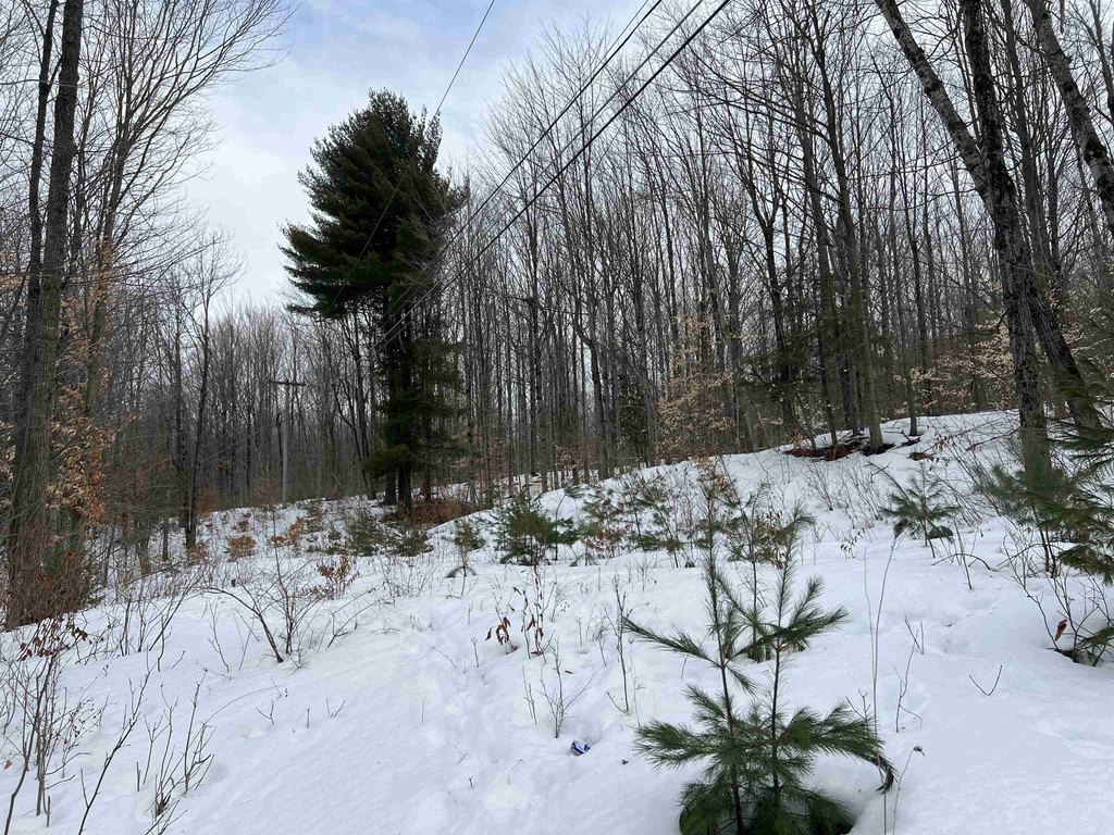 Picture 16