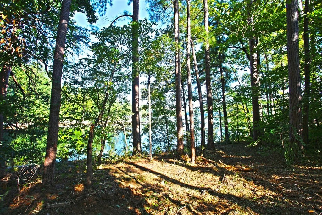 Picture 21