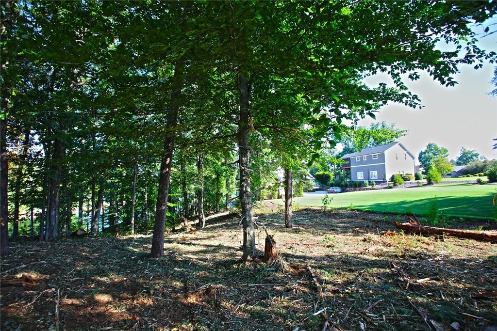 Picture 33
