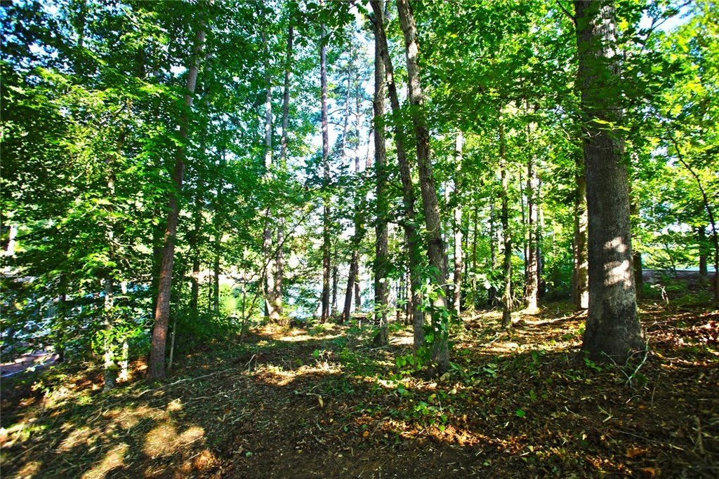Picture 25