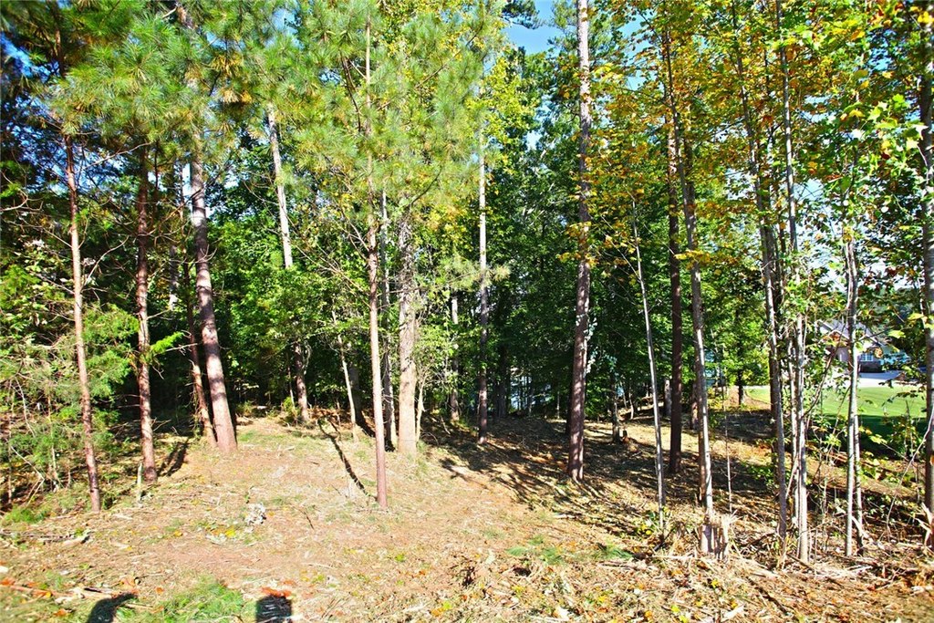Picture 38