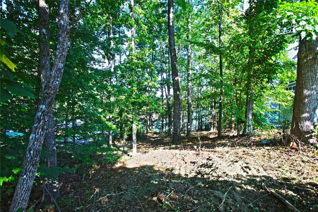 Picture 28