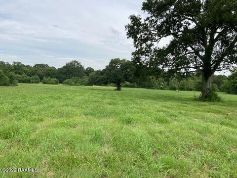 11 Acre Residential Land Tract