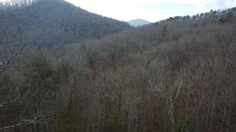 Angel Mountain Wooded Lot