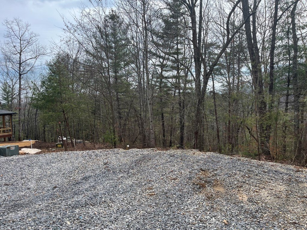 Picture 2