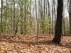 LAND - Brasstown, NC