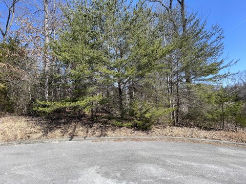 Wooded Lot Near Lake Cumberland