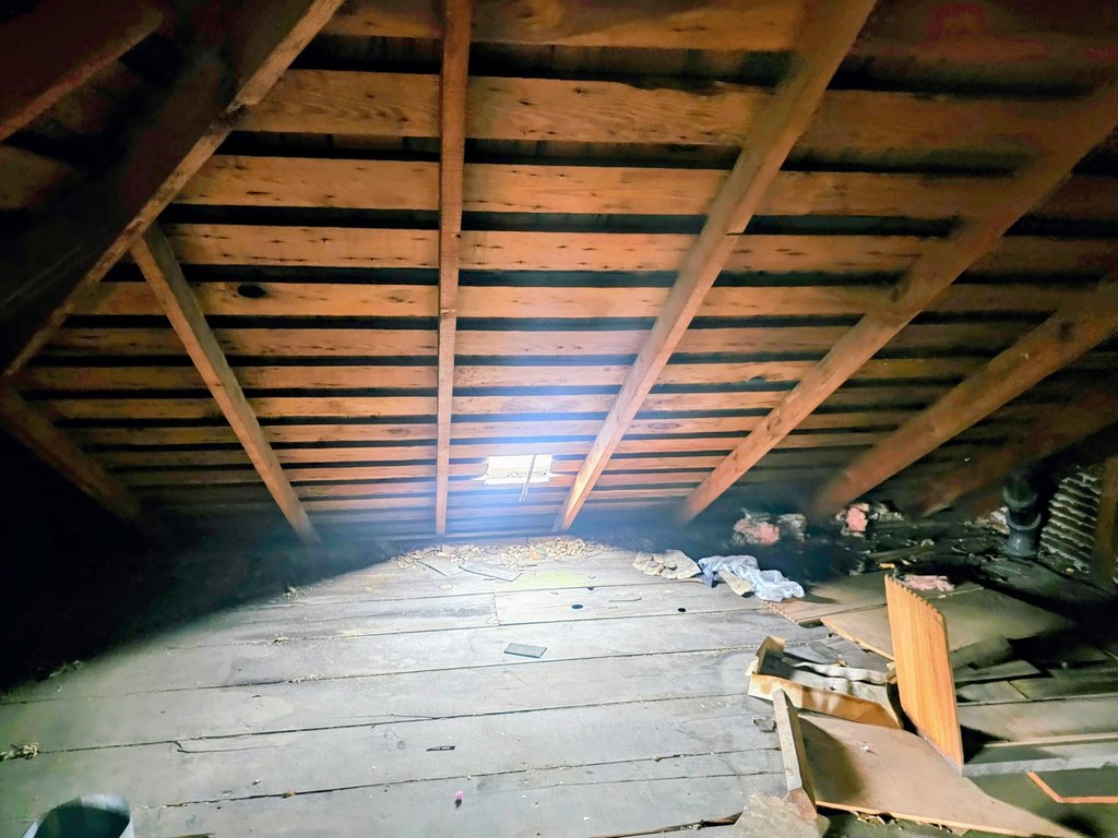 Picture 35