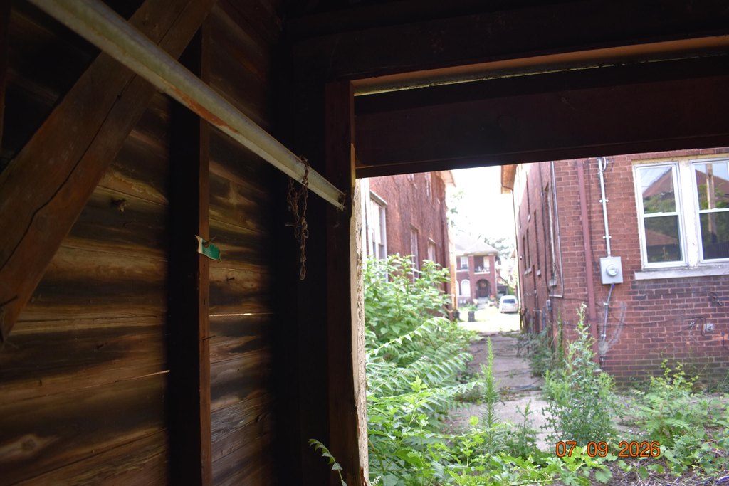 Picture 8