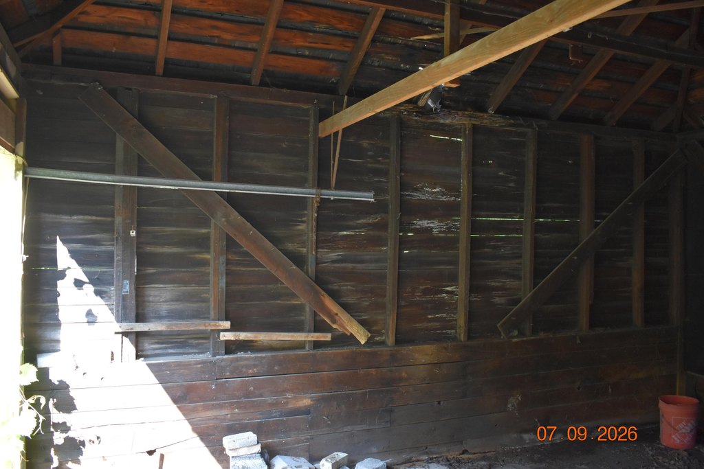 Picture 5