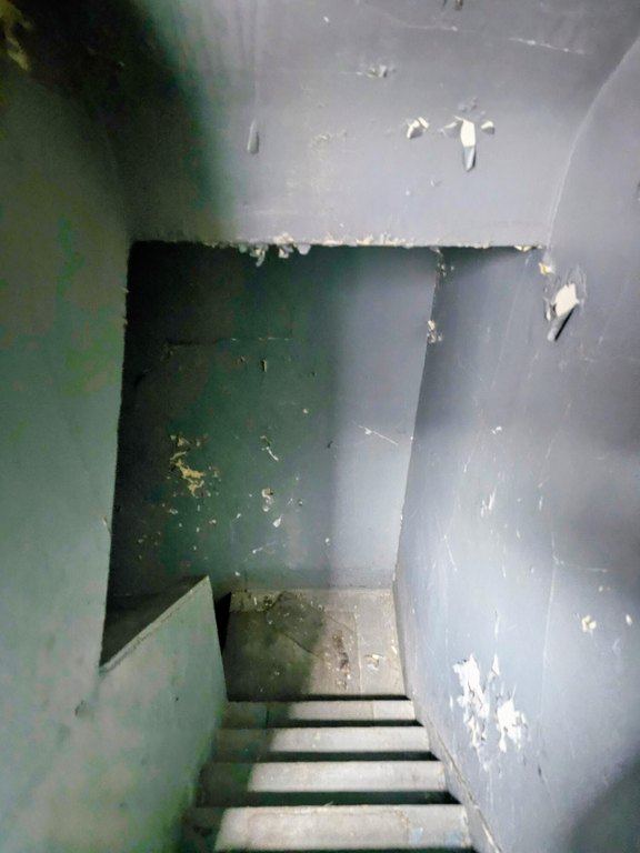 Picture 31