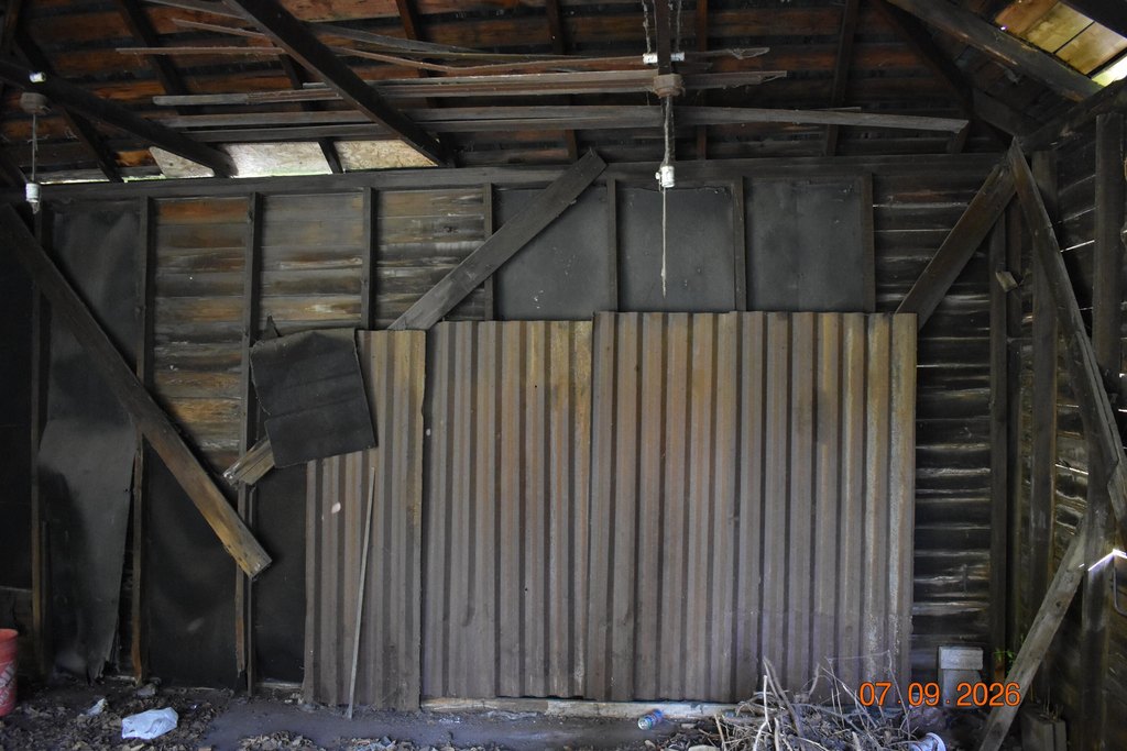Picture 6