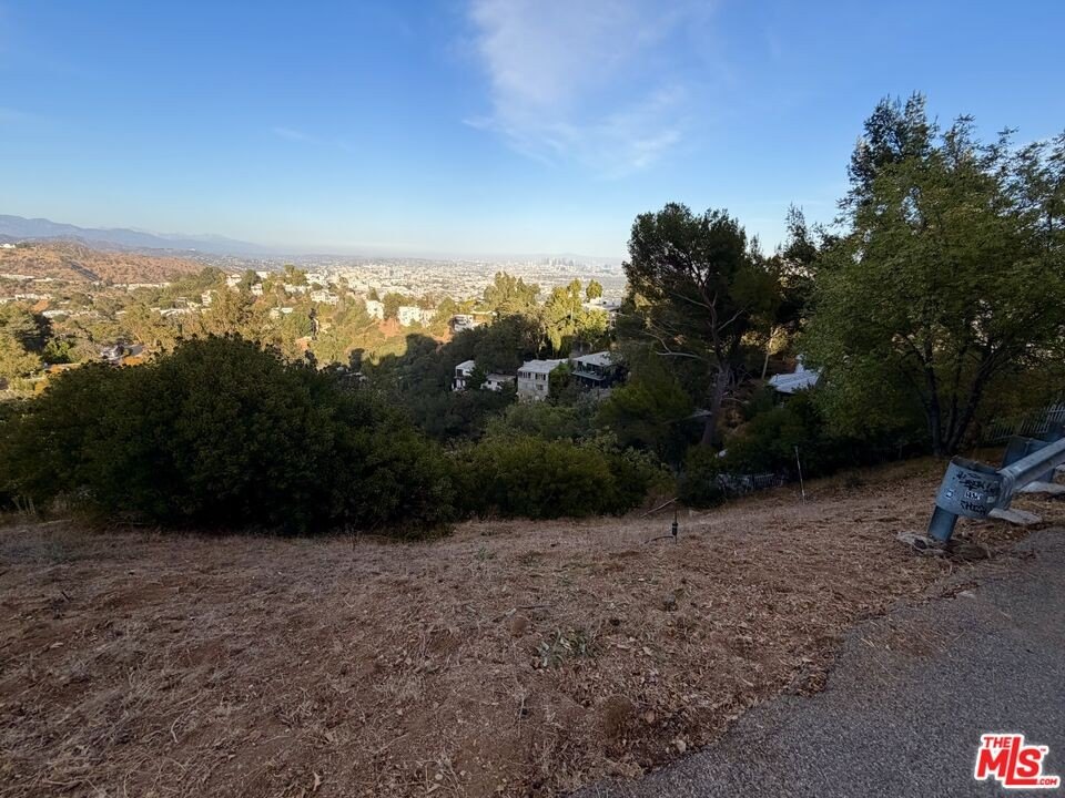 Picture 7