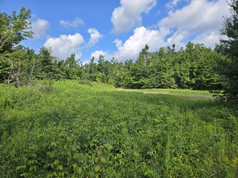 LAND - Gaylord, MI