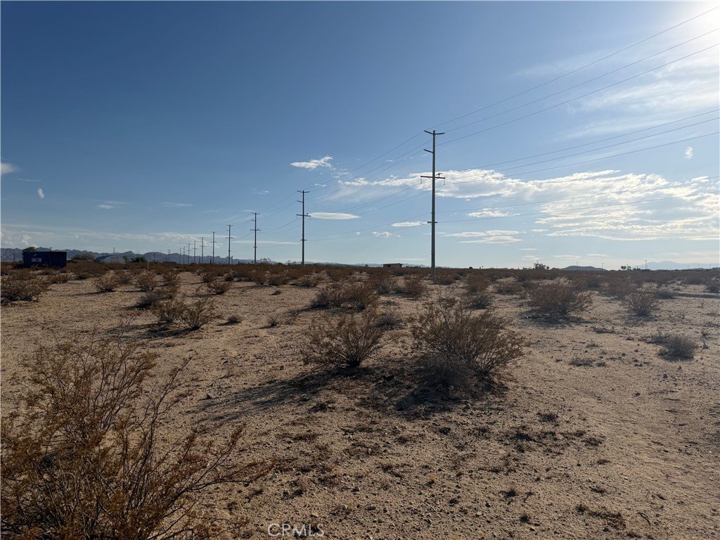 Picture 6