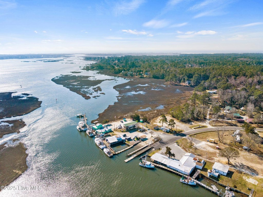 Picture 11
