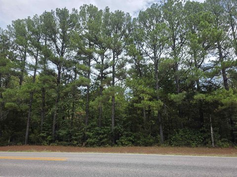 Vacant Land, Cherokee Village, AR