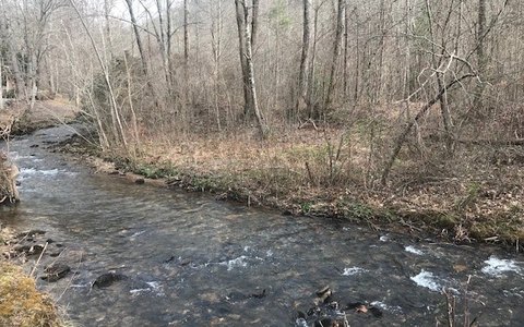 Hayesville, NC Wooded Lot