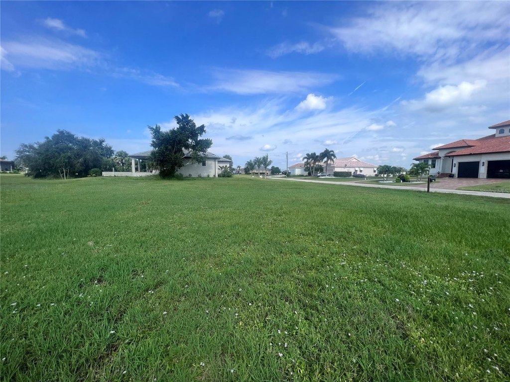 Picture 6