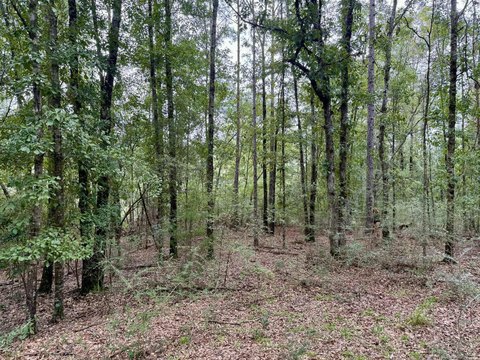 9-Acre Wooded Parcel in Milton