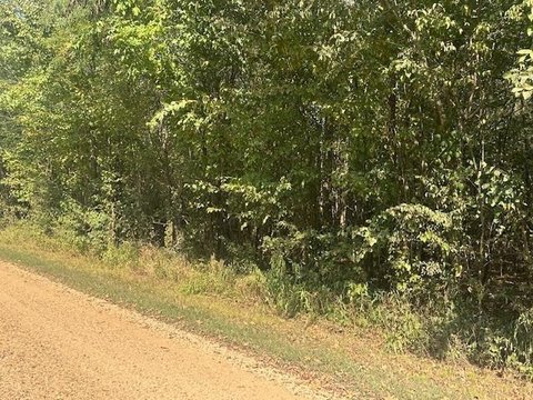 Residential Lots Near TN River