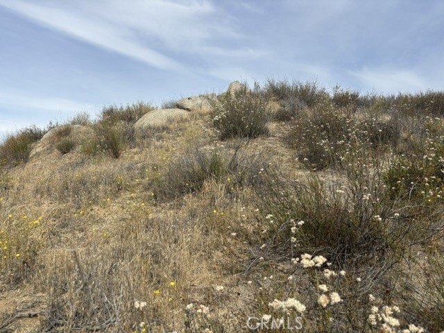 Picture 15