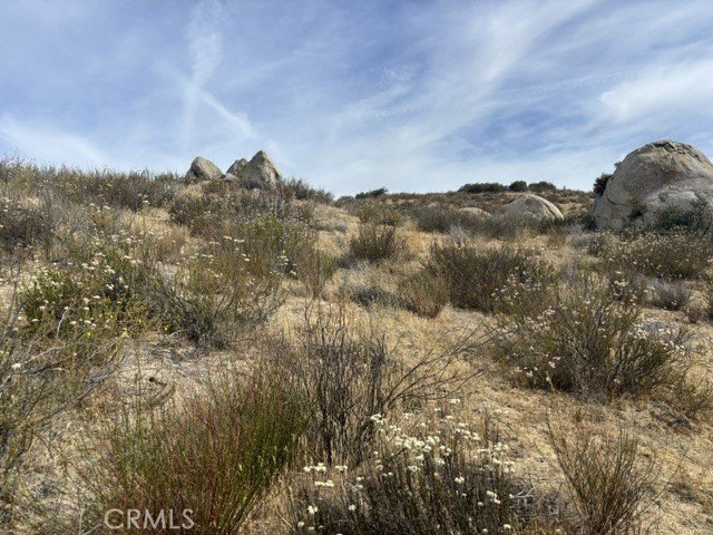 Picture 14