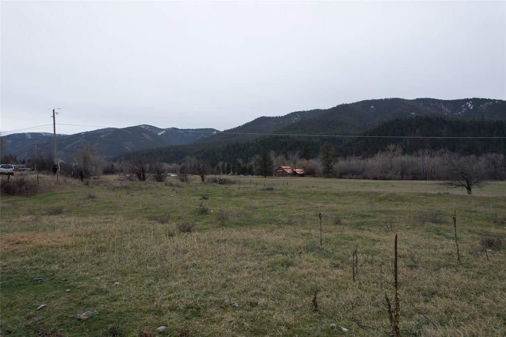 Picture 12