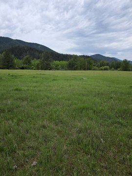 Land, Clinton, MT