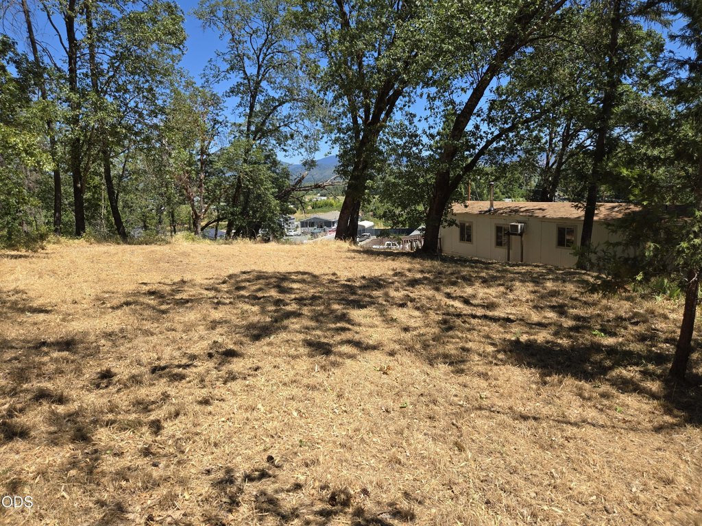 Picture 24